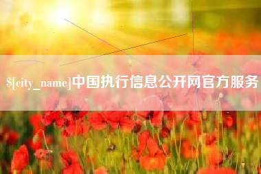 河间中国执行信息公开网官方服务