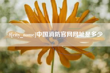河间中国消防官网网址是多少