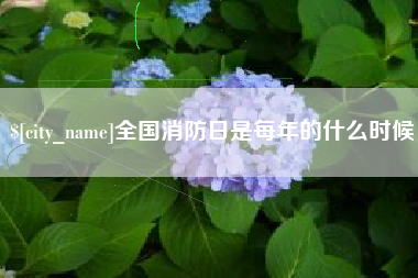 河间全国消防日是每年的什么时候