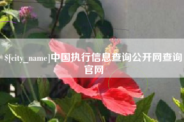 河间中国执行信息查询公开网查询官网