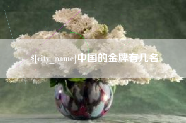 河间中国的金牌有几名