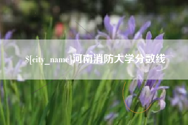 河间河南消防大学分数线