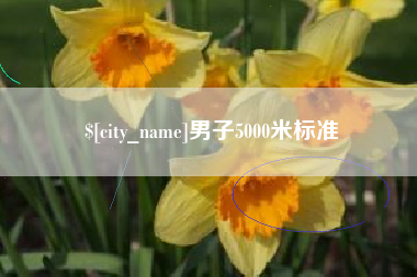 河间男子5000米标准