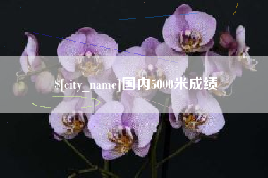 河间国内5000米成绩