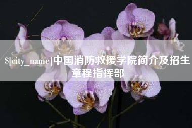 河间中国消防救援学院简介及招生章程指挥部