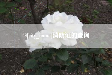 河间消防证的查询