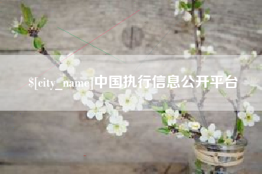 河间中国执行信息公开平台
