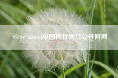 河间中国执行信息公开网网