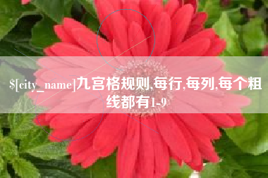 河间九宫格规则,每行,每列,每个粗线都有1-9
