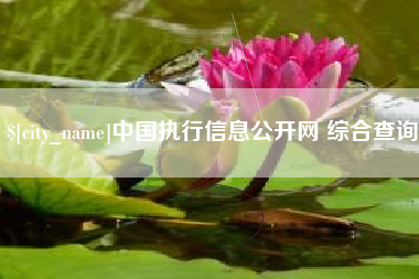 河间中国执行信息公开网 综合查询