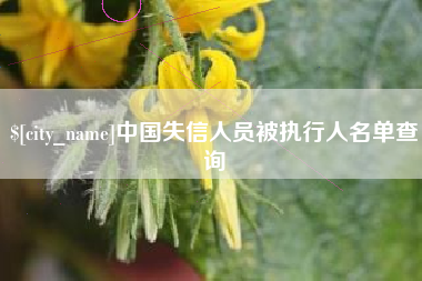 河间中国失信人员被执行人名单查询