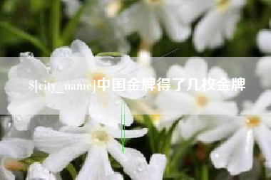 河间中国金牌得了几枚金牌