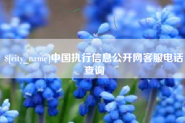 河间中国执行信息公开网客服电话查询