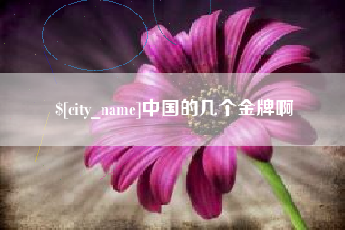 河间中国的几个金牌啊