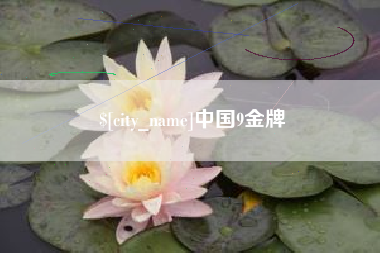河间中国9金牌
