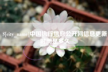 河间中国执行信息公开网信息更新时间是多久