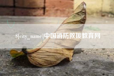 河间中国消防救援教育网