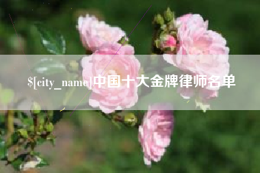 河间中国十大金牌律师名单