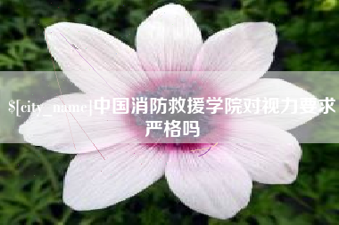 河间中国消防救援学院对视力要求严格吗