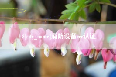 河间消防设备ccc认证