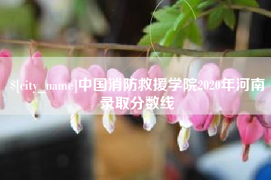 河间中国消防救援学院2020年河南录取分数线