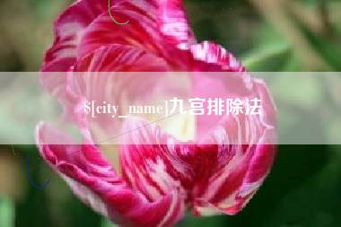 河间九宫排除法