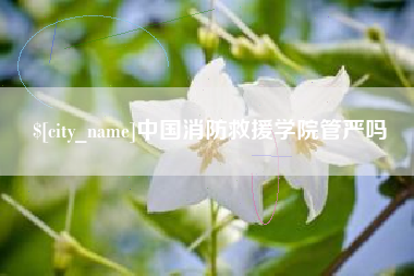 河间中国消防救援学院管严吗