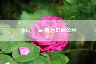 河间执行信息公示