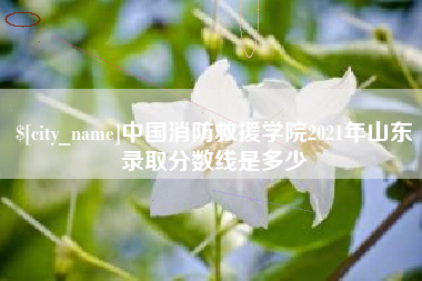 河间中国消防救援学院2021年山东录取分数线是多少