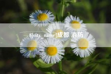 河间成都 消防