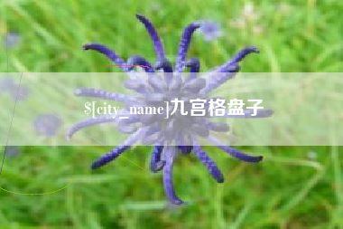 河间九宫格盘子