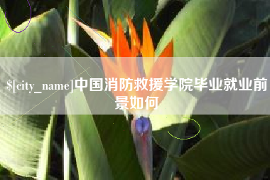 河间中国消防救援学院毕业就业前景如何