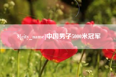 河间中国男子5000米冠军