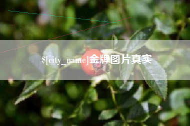 河间金牌图片真实