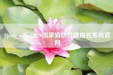 河间2020国家消防救援报名系统官网