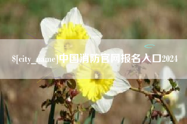 河间中国消防官网报名入口2024