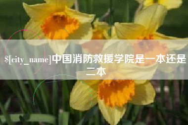 河间中国消防救援学院是一本还是二本