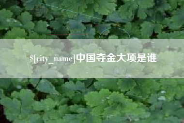 河间中国夺金大项是谁