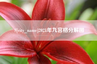 河间2021年九宫格分解图