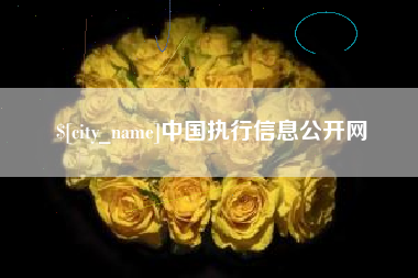河间中国执行信息公开网