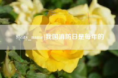 河间我国消防日是每年的