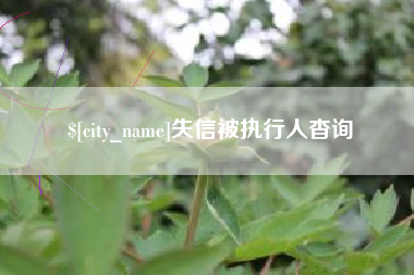 河间失信被执行人杳询