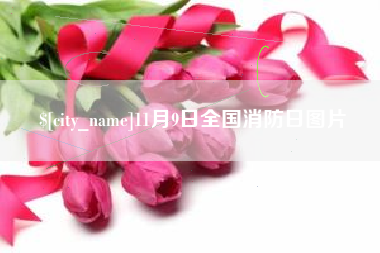 河间11月9日全国消防日图片