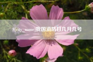 河间我国消防日几月几号