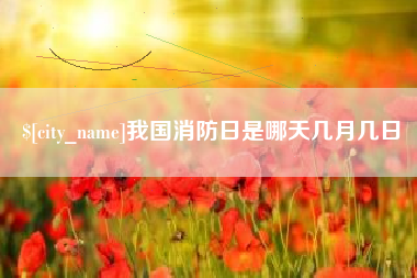 河间我国消防日是哪天几月几日