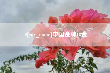 河间中国金牌18金