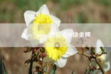 河间奥运会39块金牌