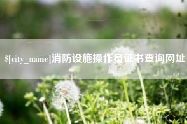 河间消防设施操作员证书查询网址