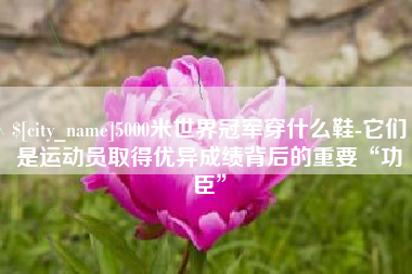 河间5000米世界冠军穿什么鞋-它们是运动员取得优异成绩背后的重要“功臣”