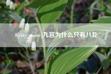 河间九宫为什么只有八卦